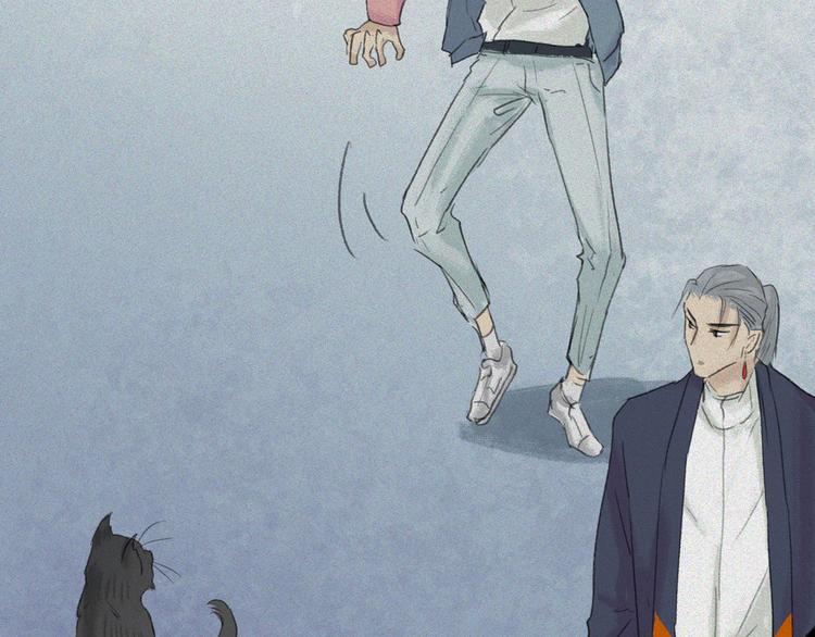 第19话-猫妖篇：猫妖现世(1/2)-第26话