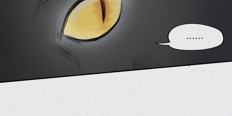 第19话-猫妖篇：猫妖现世(1/2)-第26话