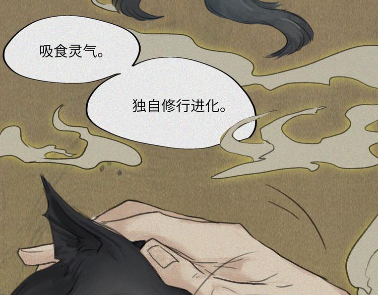 第19话-猫妖篇：猫妖现世(1/2)-第26话