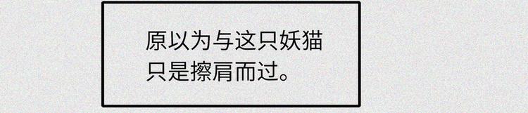 第19话-猫妖篇：猫妖现世(1/2)-第26话