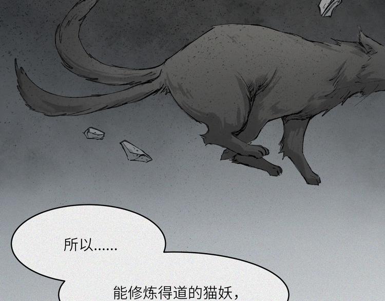 第21话-猫妖篇：猫的修行(1/2)-第28话