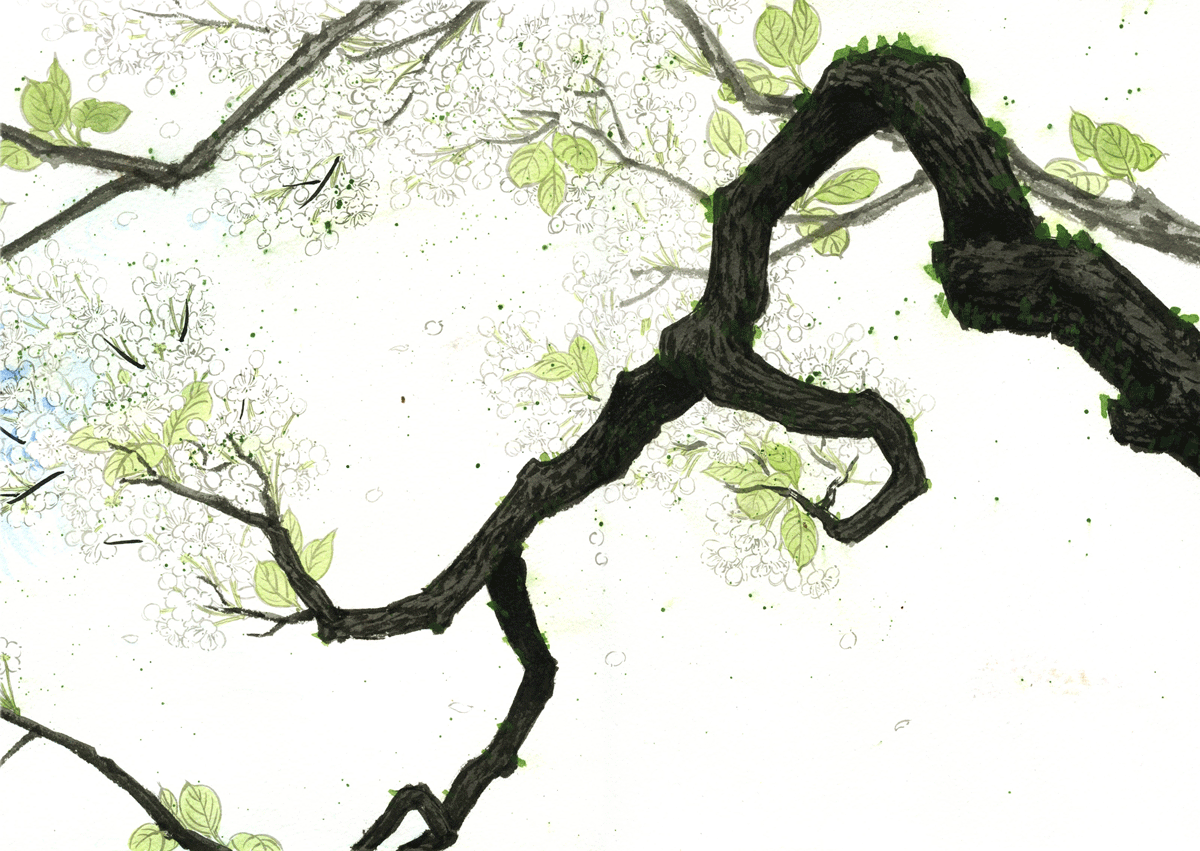 第三十二章 春江花月夜-第32话