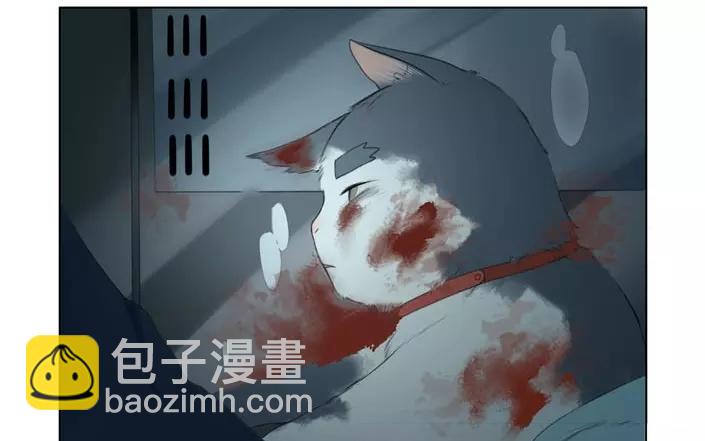 第20话  纯洁的灵魂（下）(1/2)-第18话