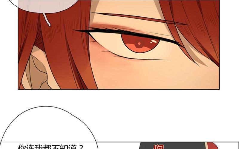 第41话  意外（下）(1/2)-第40话