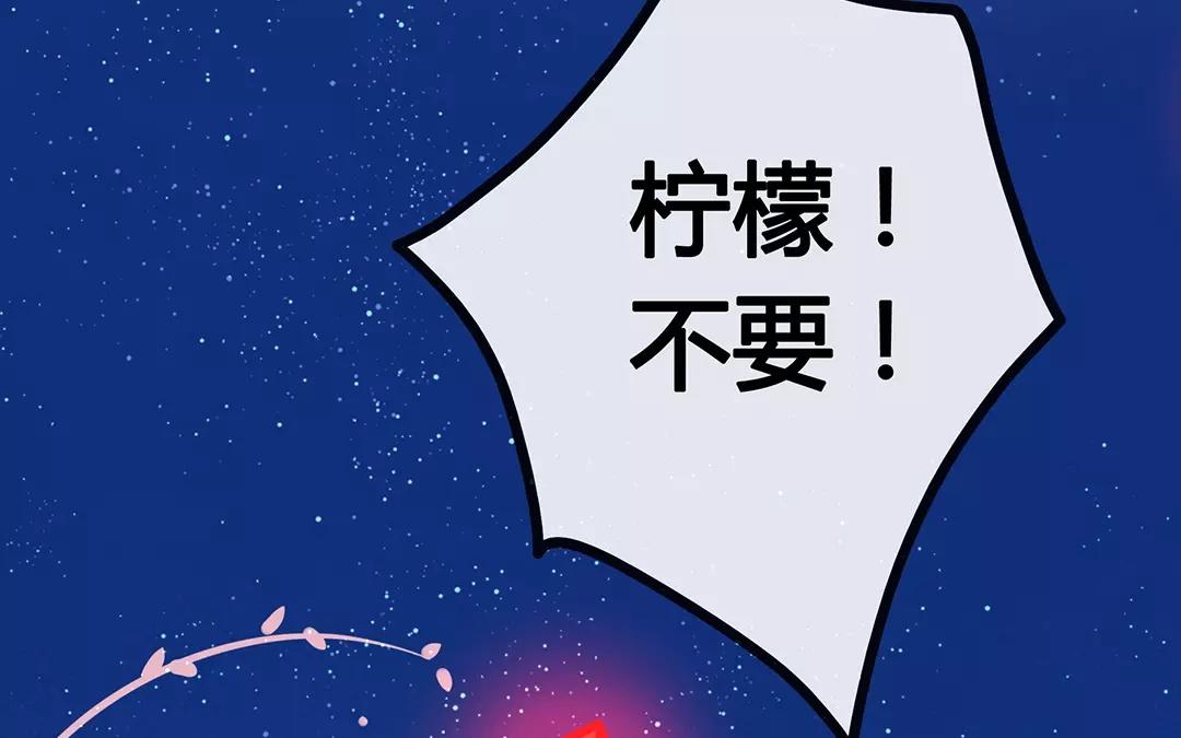 番外四 尘归尘，土归土。(1/2)-第70话