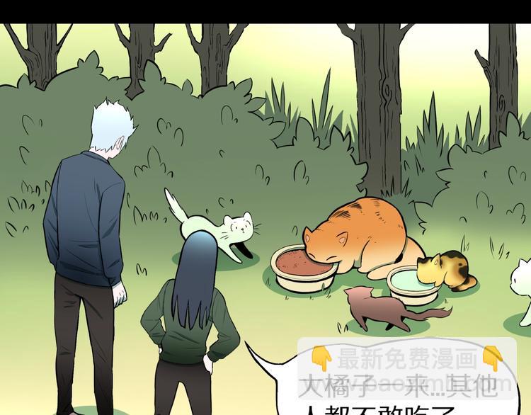 第37话  赤瞳山雀事件（2）(1/2)-第40话