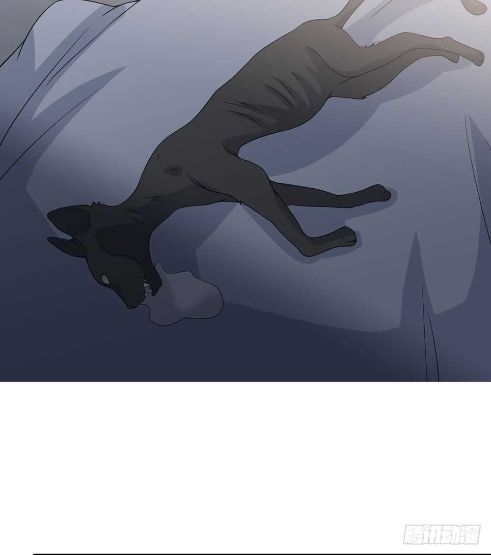 第五季：入局(1/2)-第144话