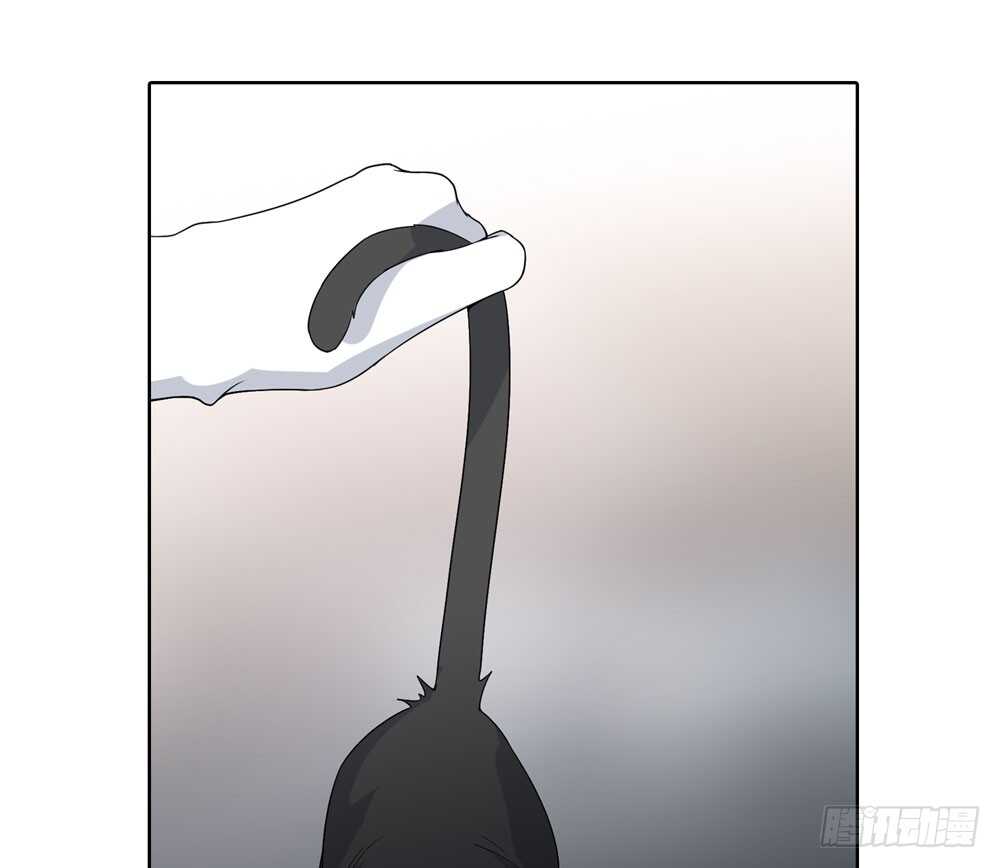 第五季：入局(1/2)-第144话