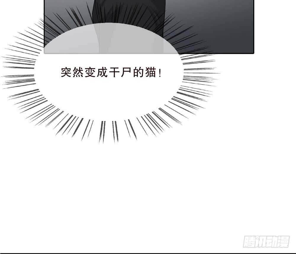 第五季：入局(1/2)-第144话