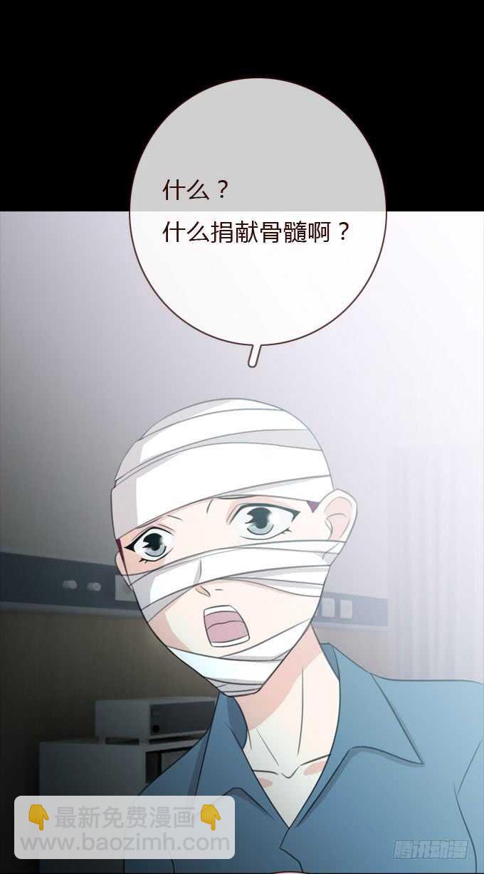 第三季：整容-第74话