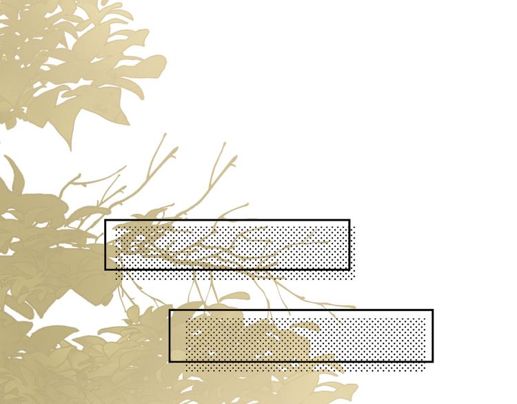 第8话 噩梦结束了(1/2)-第8话