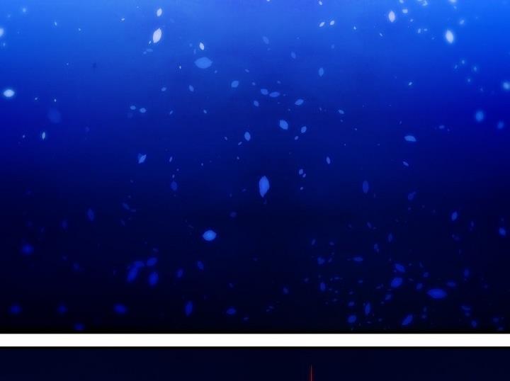 第82话 六个考验 29-第82话