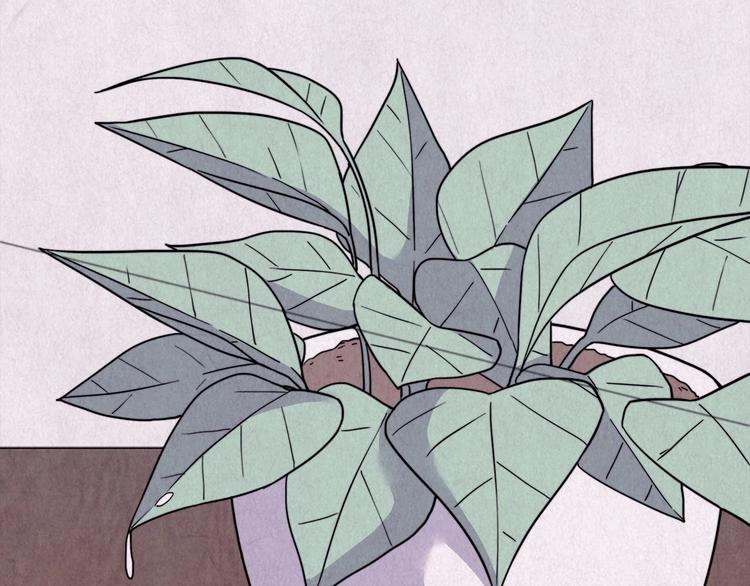 第39话 爱的迷雾 三(1/2)-第40话