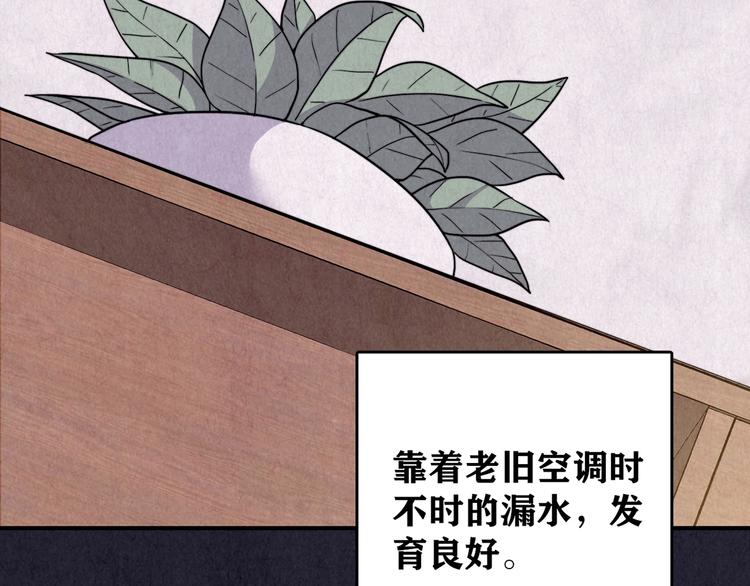 第39话 爱的迷雾 三(1/2)-第40话