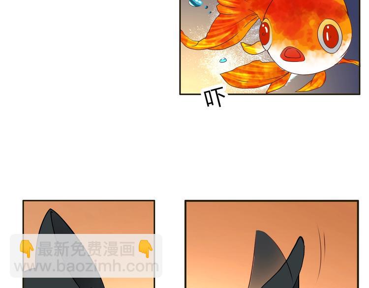 第16话 妖猫现身-第16话