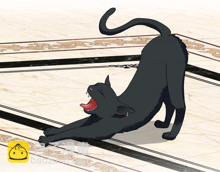 第16话 妖猫现身-第16话