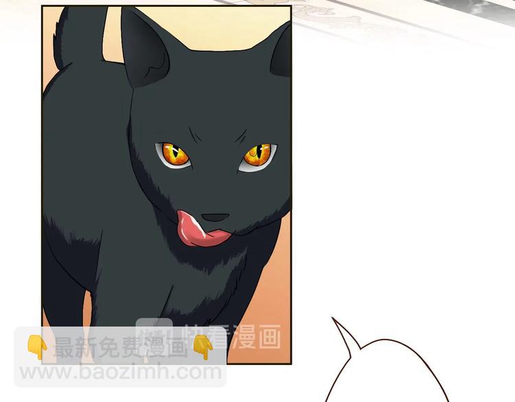 第16话 妖猫现身-第16话