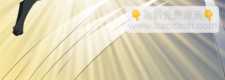 第16话 妖猫现身-第16话