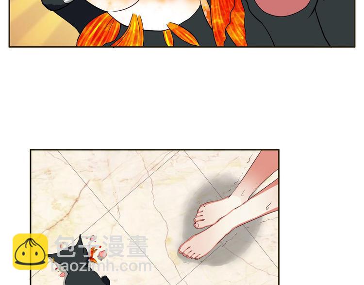 第16话 妖猫现身-第16话