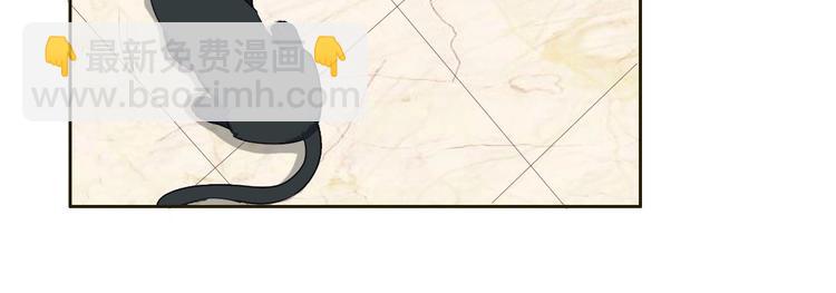 第16话 妖猫现身-第16话