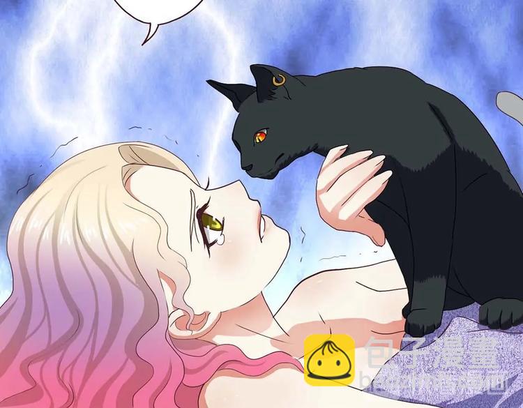 第16话 妖猫现身-第16话