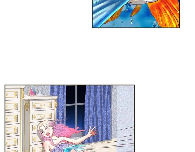 第16话 妖猫现身-第16话