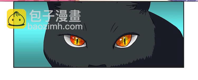 第16话 妖猫现身-第16话