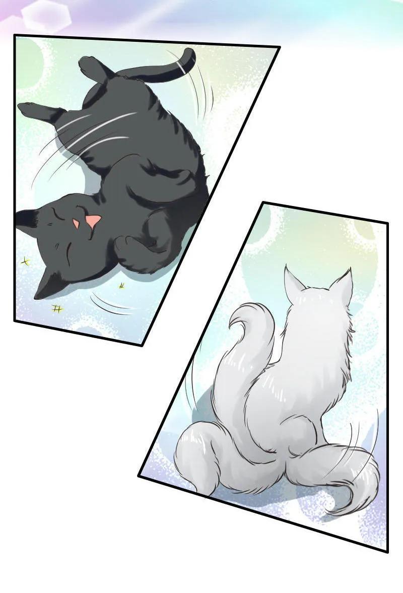 第91章 功德和龙珠-第90话