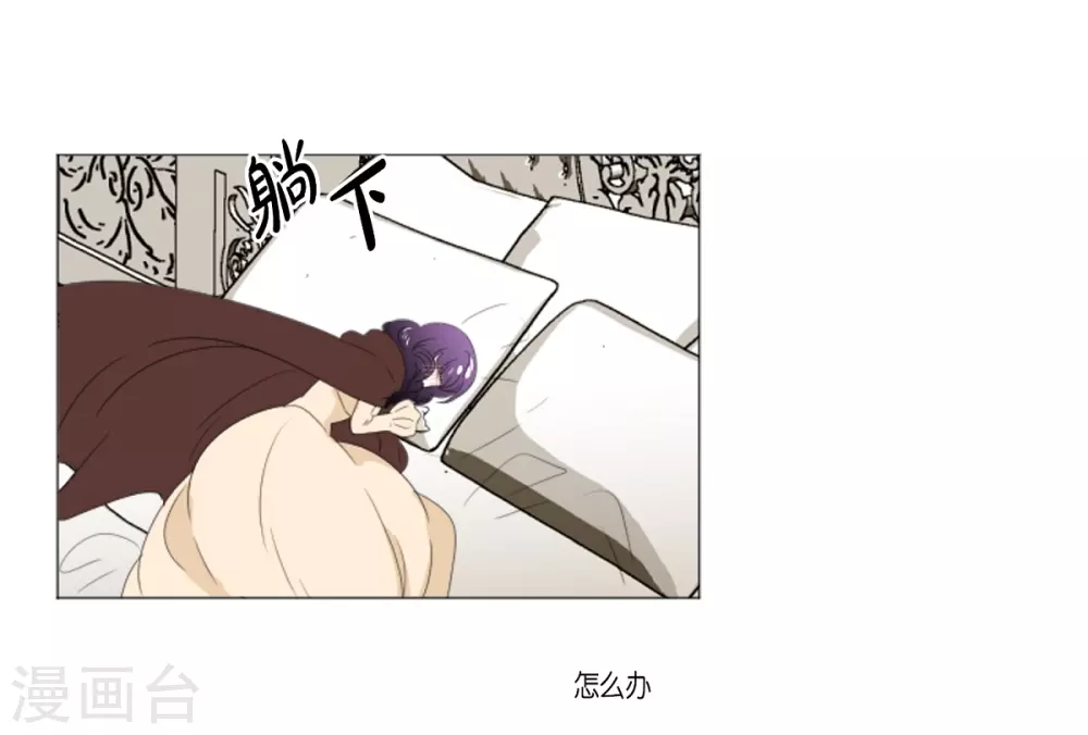 第15话 拉迪维特的公主(1/2)-第16话