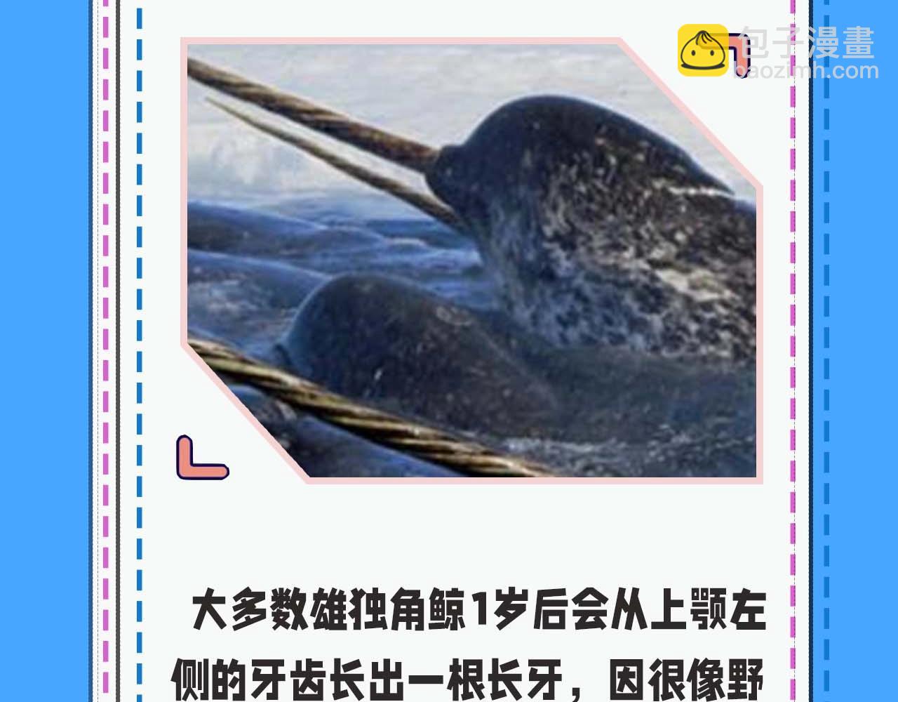 第52期 人鱼陷落的主角都是什么品种的鱼（日更中）-第122话