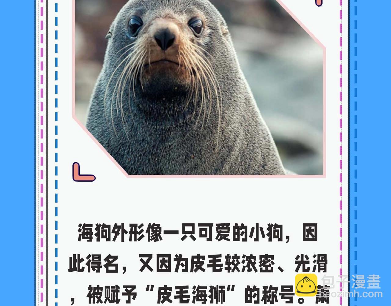 第52期 人鱼陷落的主角都是什么品种的鱼（日更中）-第122话