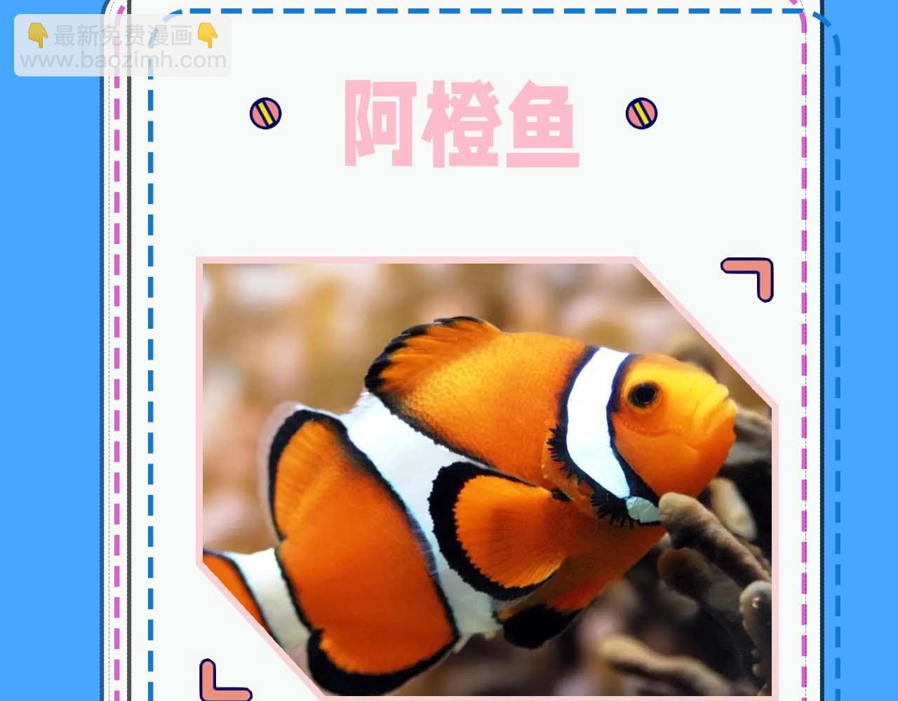 第52期 人鱼陷落的主角都是什么品种的鱼（日更中）-第122话