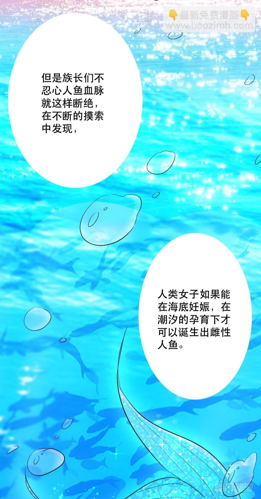 2 单身鱼的渴望！-第2话