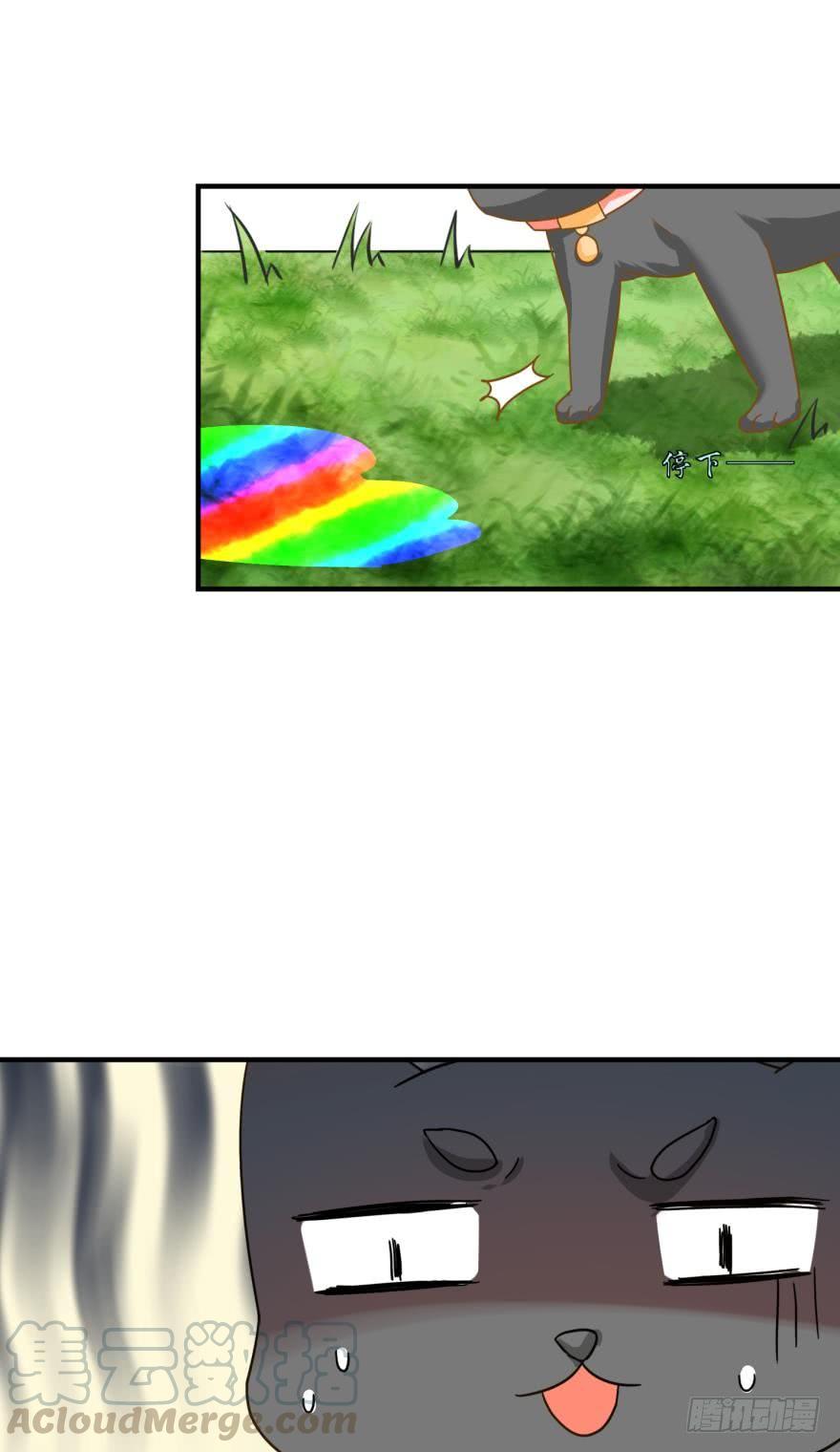 人鱼学长别抱我 - 探寻 - 5