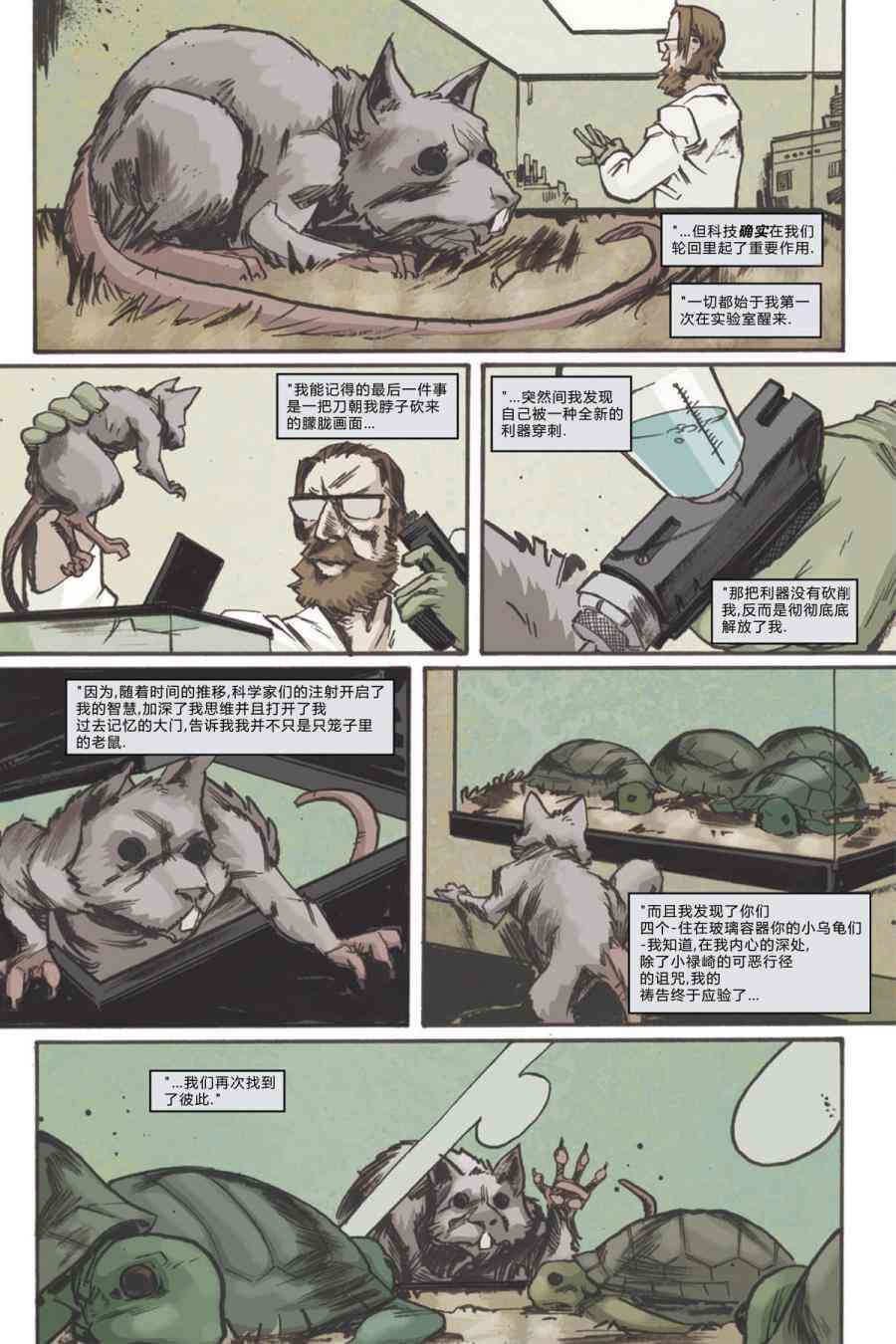 忍者神龟2011 - 6卷 - 6