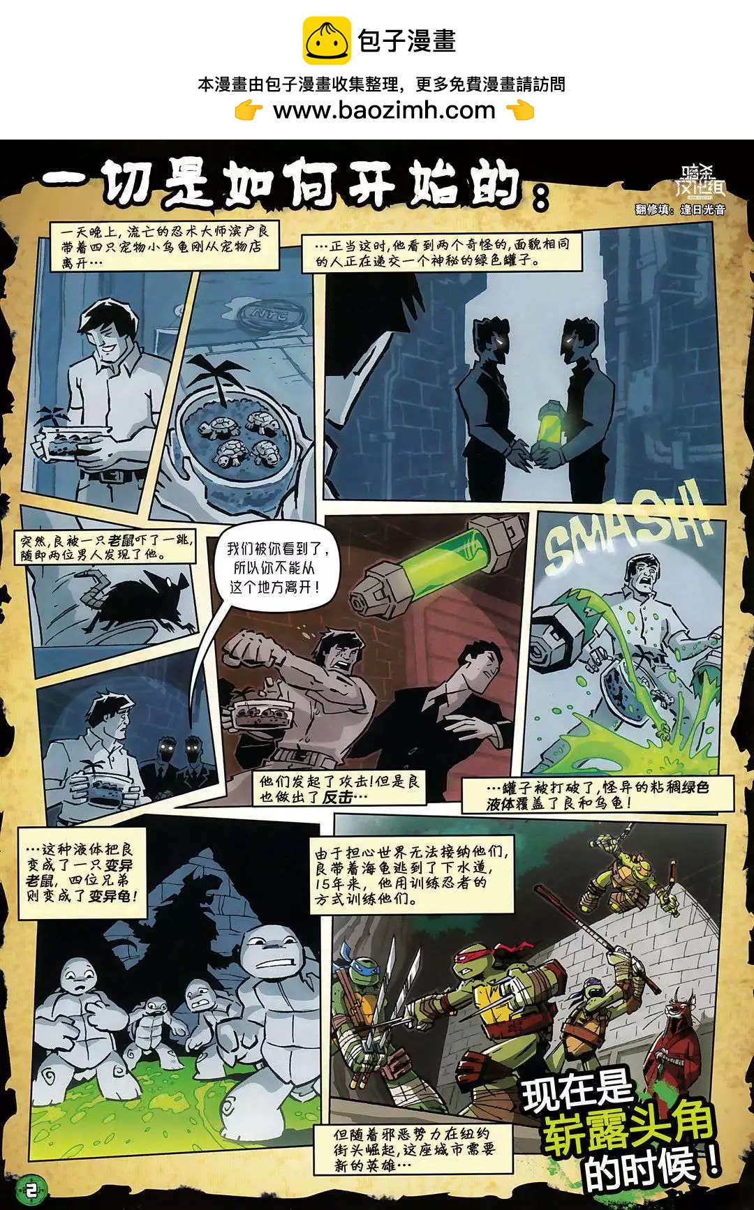 忍者神龟2012：UK杂志配套漫画 - 第30卷 - 2