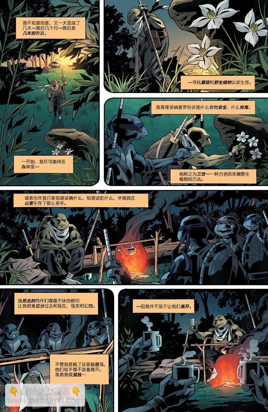 忍者神龜：最後的浪人·失落歲月 - 第02卷 - 4