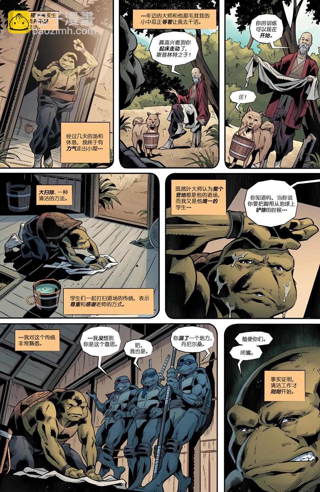 忍者神龜：最後的浪人·失落歲月 - 第02卷 - 1
