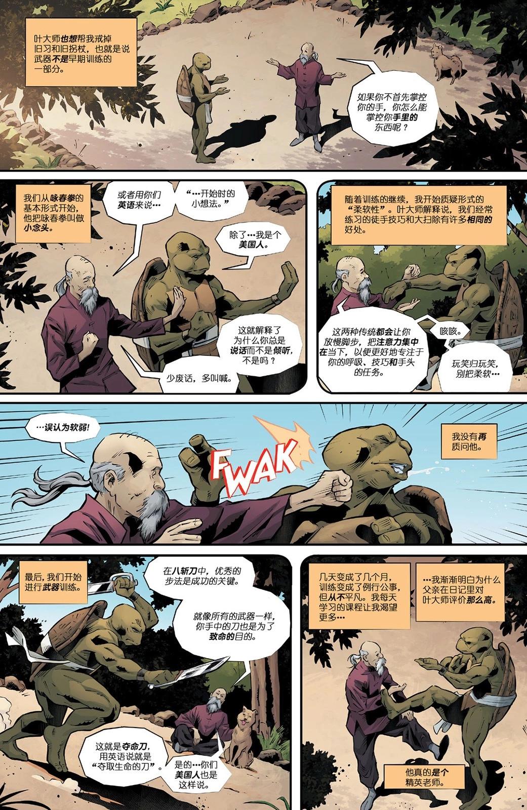 忍者神龜：最後的浪人·失落歲月 - 第02卷 - 2