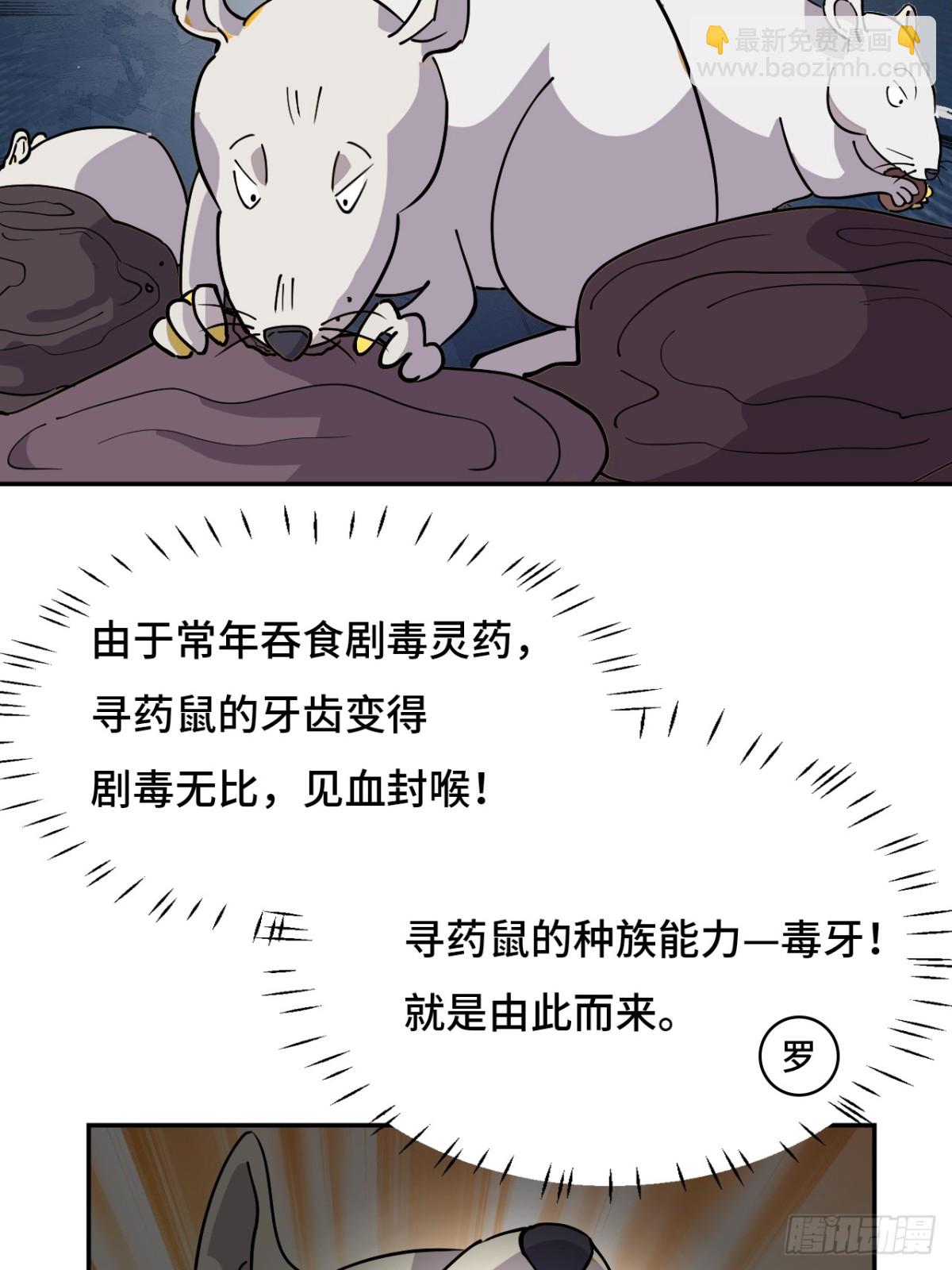 仁者無敵之龍戰在野 - 68尋尋藥鼠 - 4