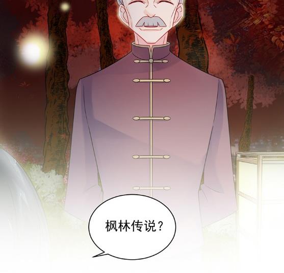 枫叶林的传说(1/3)-第60话