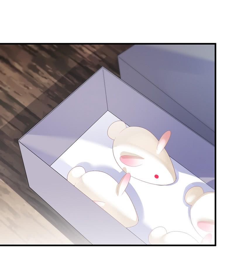 第二部第72话 签字离婚(1/2)-第238话