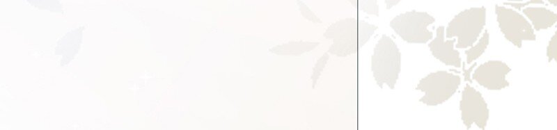 20 生日宴会(1/2)-第20话