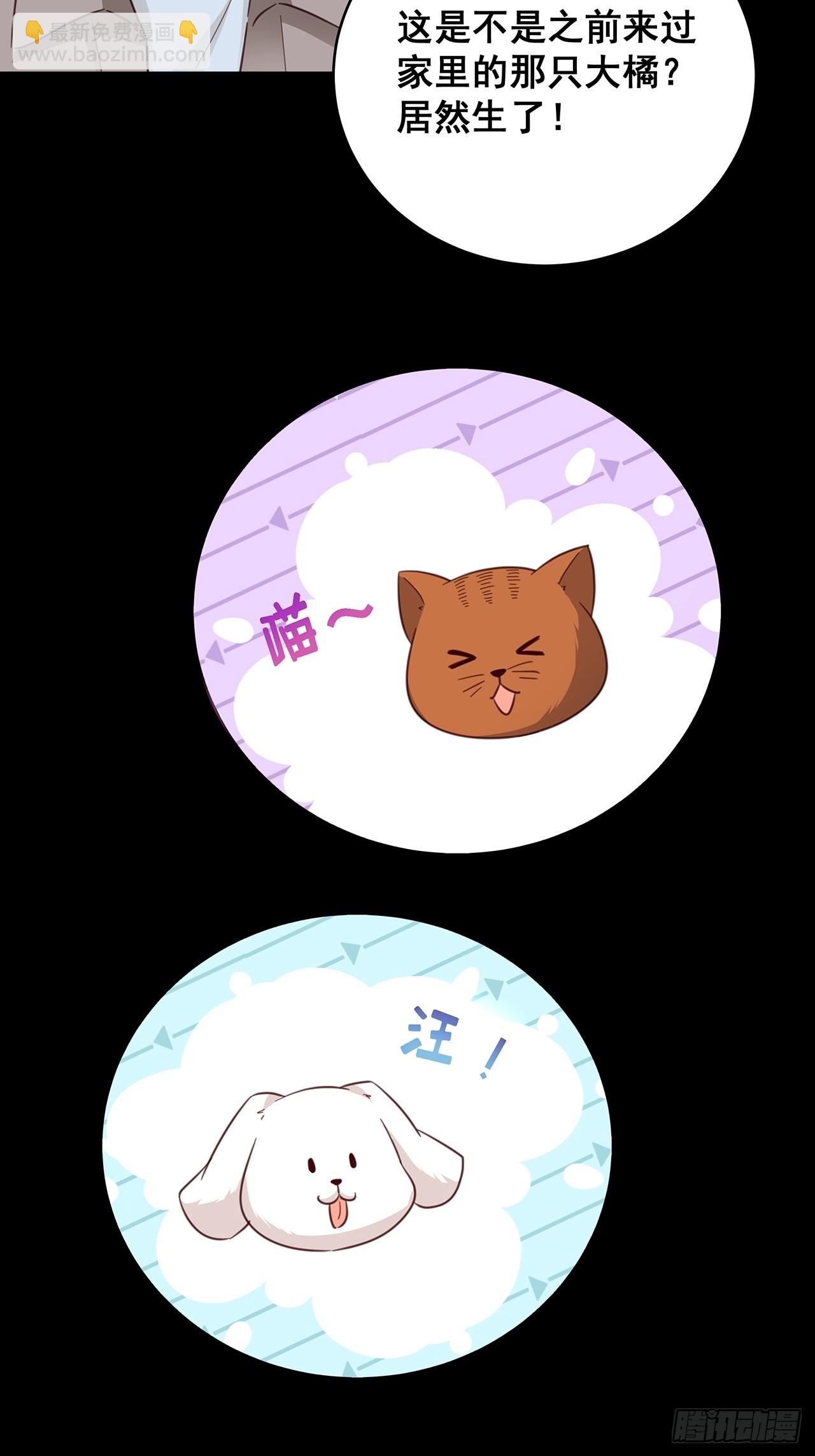 免费番外 代毛历险记-第68话