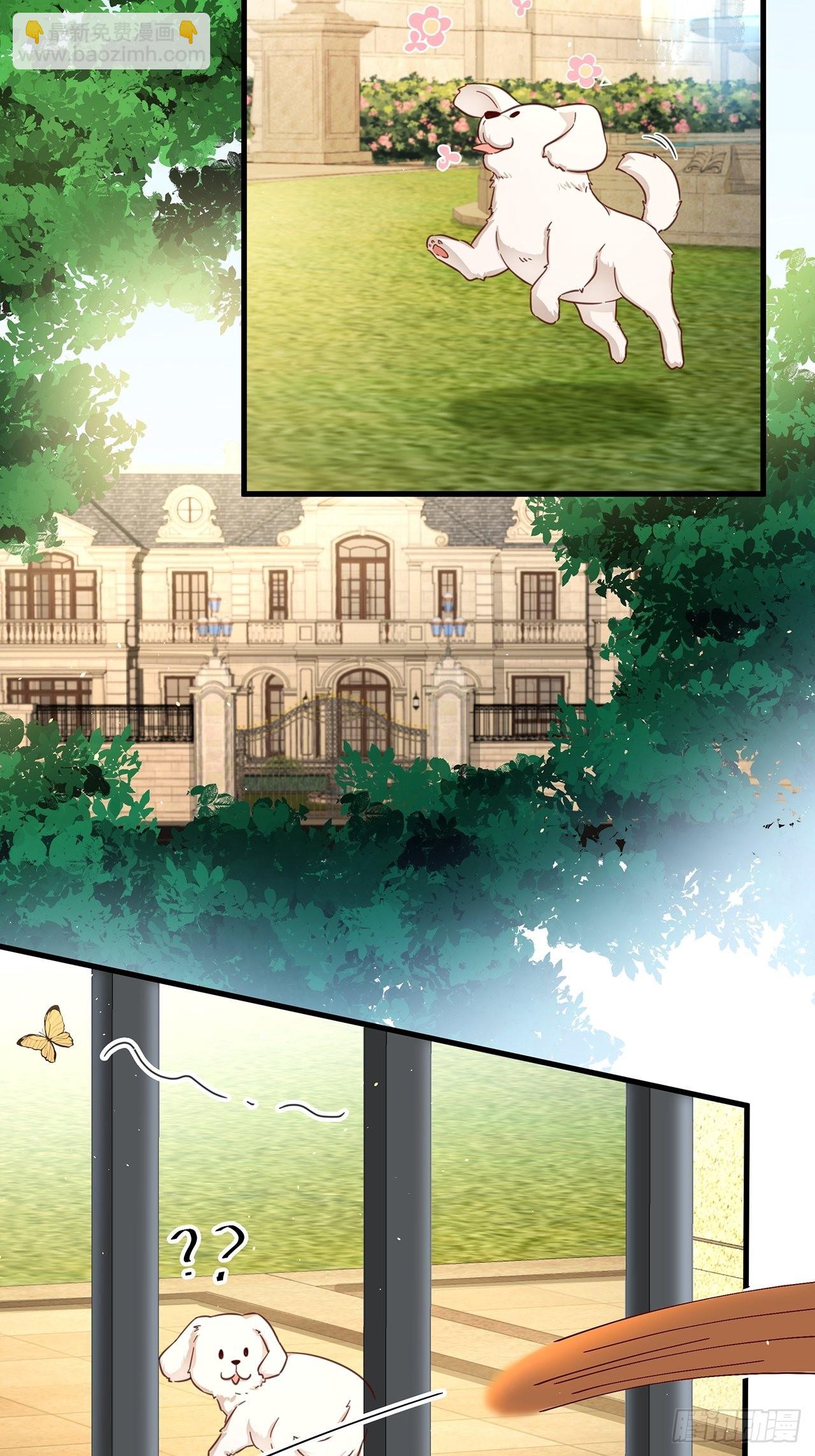 免费番外 代毛历险记-第68话