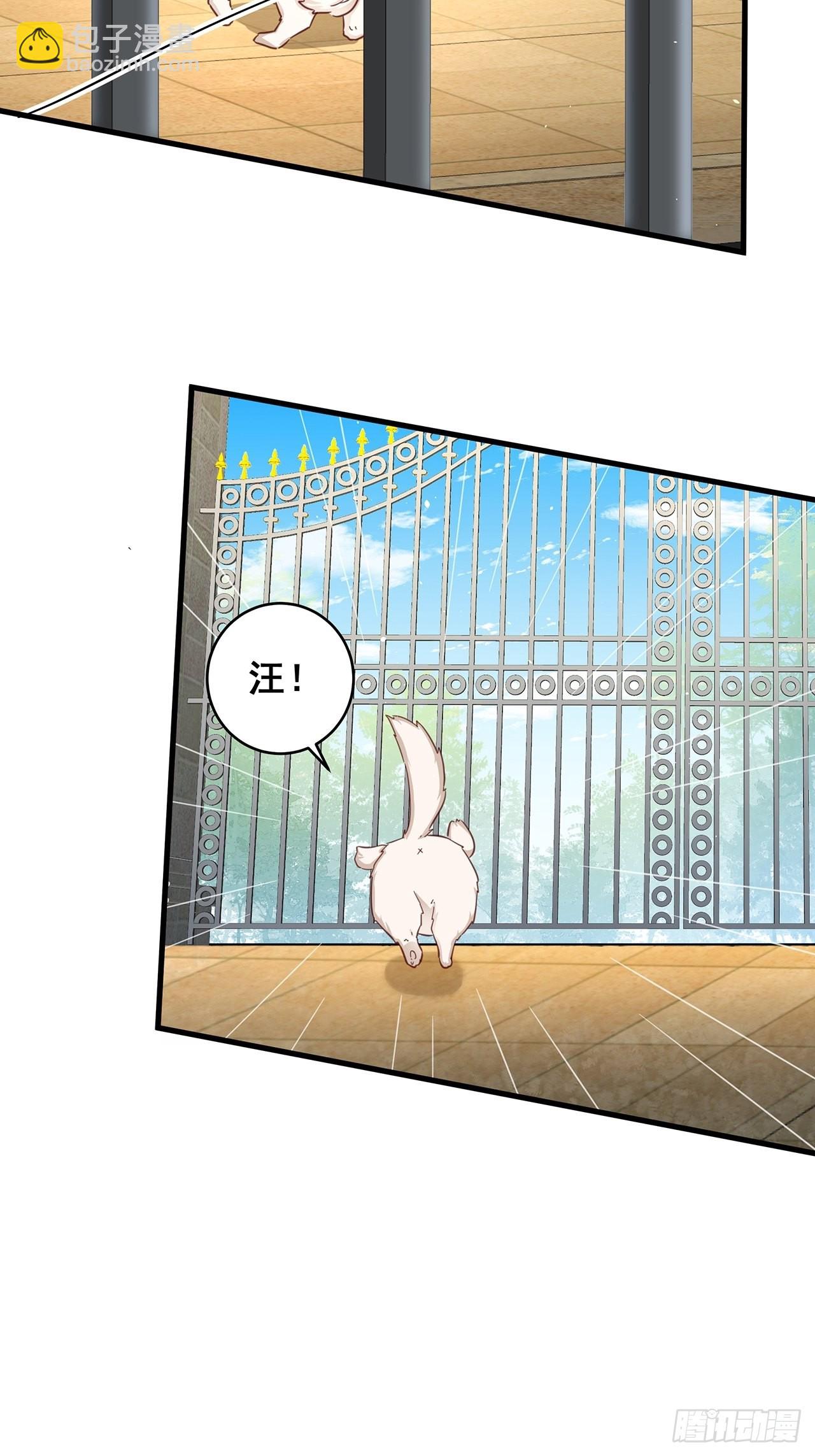 免费番外 代毛历险记-第68话