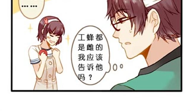 蜜蜂很花心-第16话