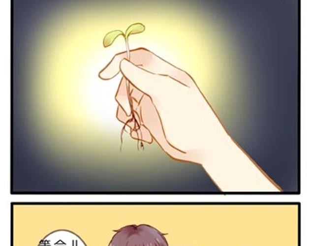 蜜蜂很花心-第16话