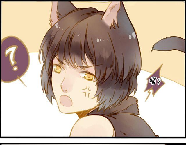 晚上的猫比早上更可爱-第44话