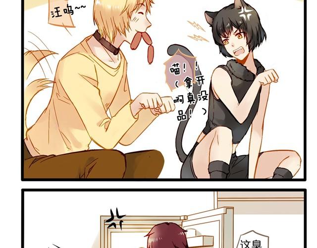 失恋的感觉-第8话